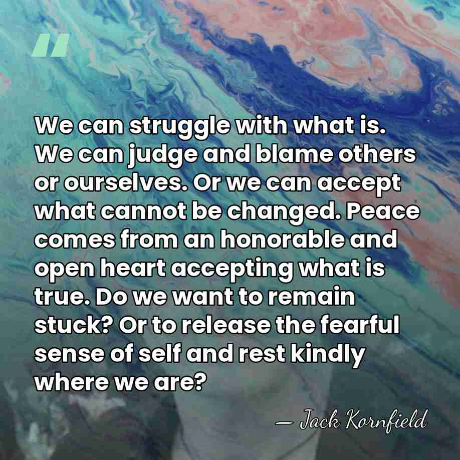 We can struggle with what is. We can judge and blame others&hellip; - Jack Kornfield