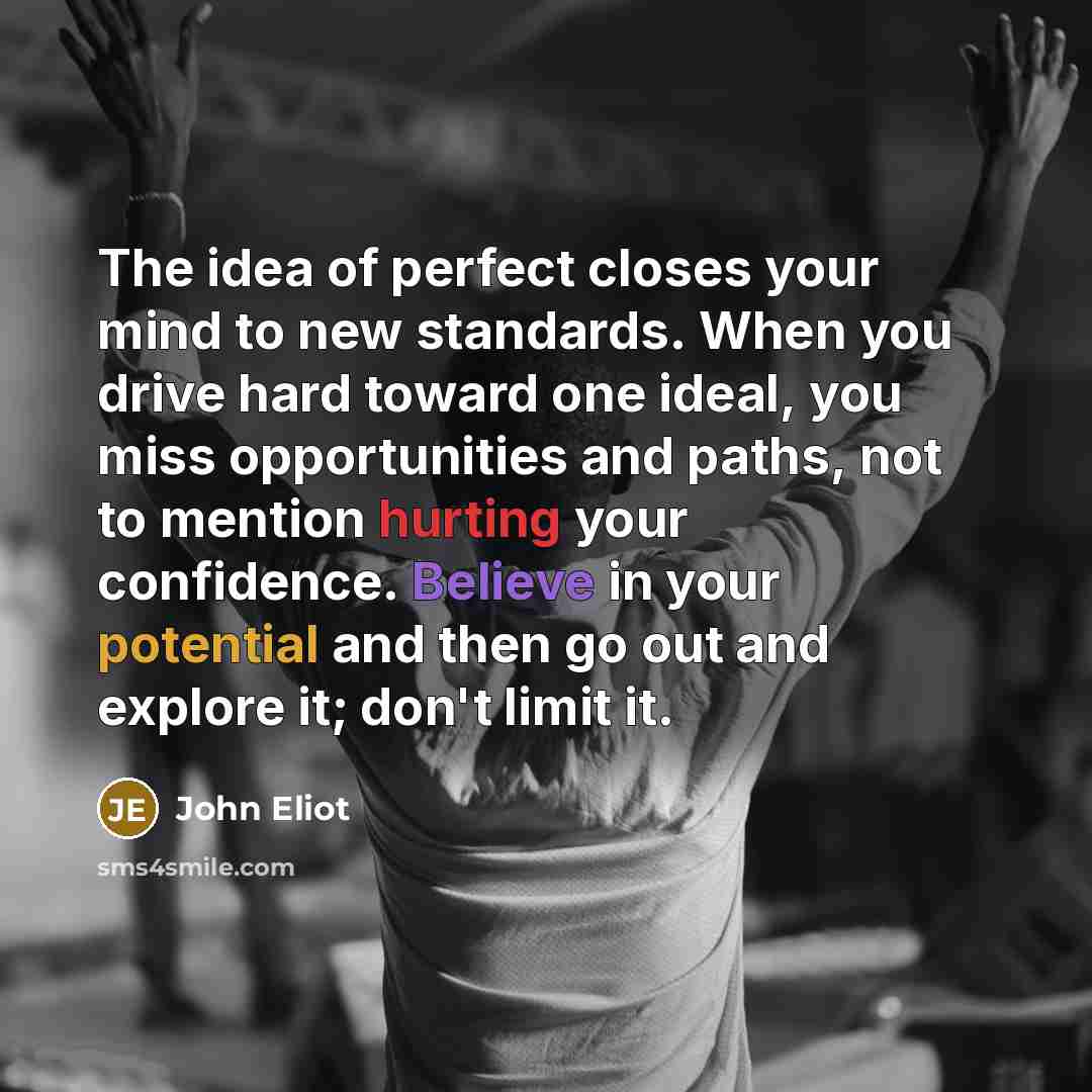 “The idea of perfect closes your mind to new standards.…” quote by John Eliot