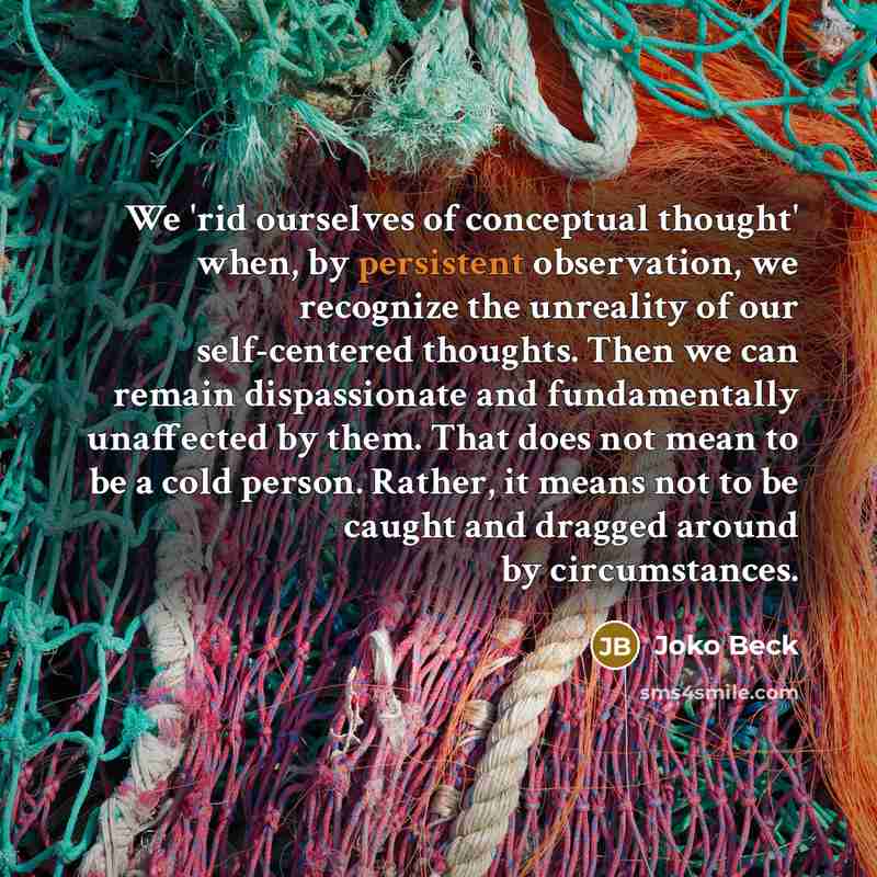 “We 'rid ourselves of conceptual thought' when, by persistent observation,…” quote by Joko Beck