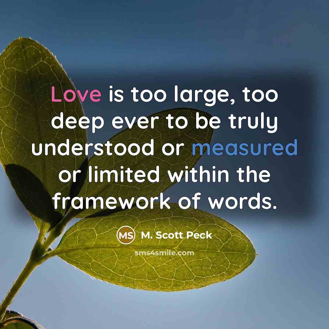 “Love is too large, too deep ever to be truly understood or measured or limited within the framework of words.” quote by M. Scott Peck