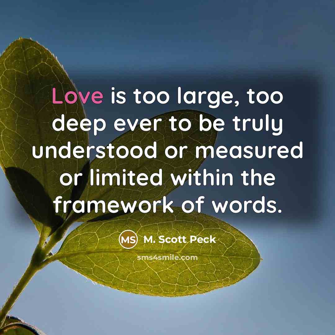 “Love is too large, too deep ever to be truly…” quote by M. Scott Peck