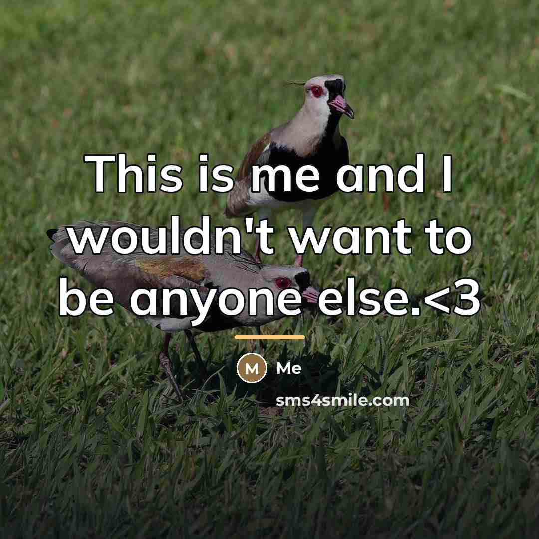 “This is me and I wouldn't want to be anyone…” quote by Me