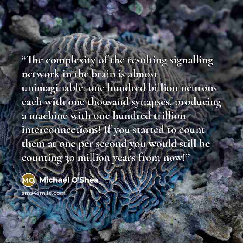 “The complexity of the resulting signalling network in the brain is almost unimaginable: one hundred billion neurons each with one thousand synapses, producing a machine with one hundred trillion interconnections! If you started to count them at one per second you would still be counting 30 million…” quote by Michael O'Shea
