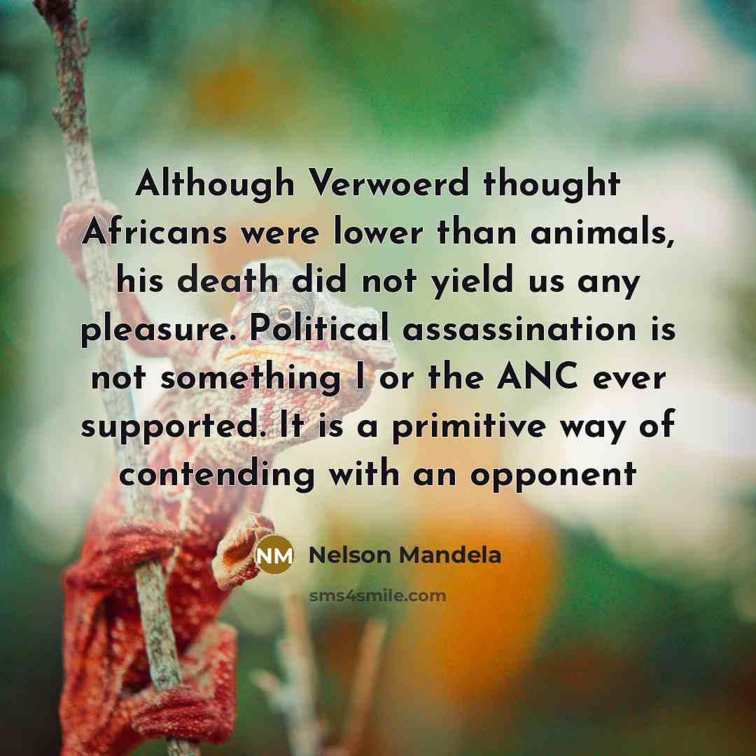 “Although Verwoerd thought Africans were lower than animals, his death…” quote by Nelson Mandela