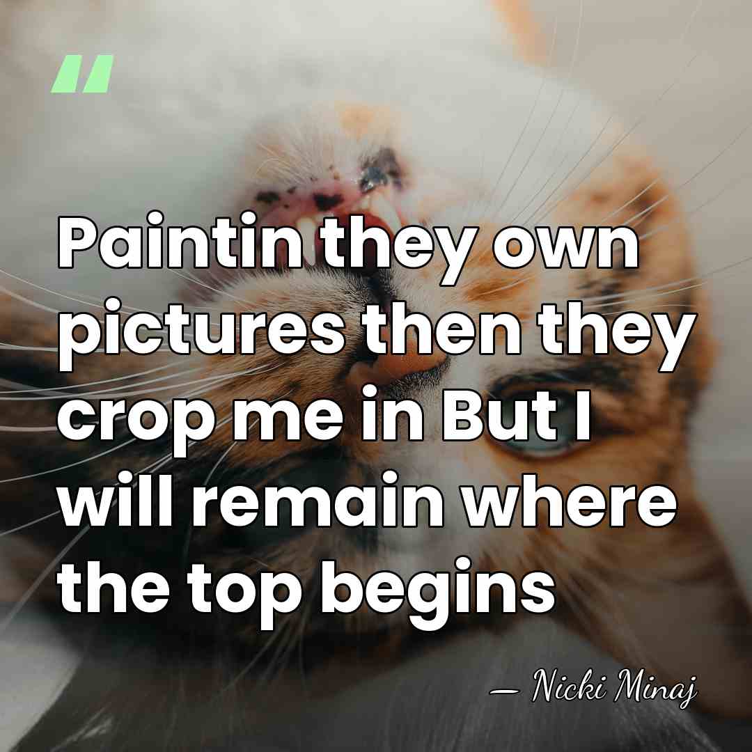 Paintin they own pictures then they crop me in But I will&hellip; - Nicki Minaj