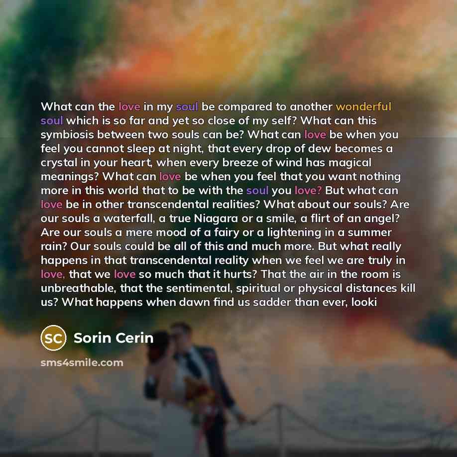 “What can the love in my soul be compared to…” quote by Sorin Cerin