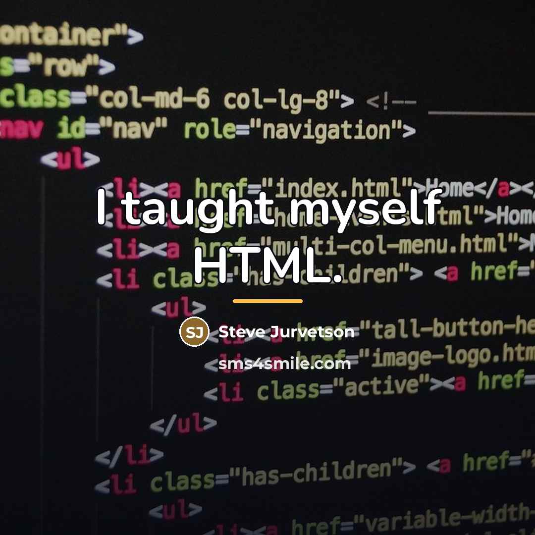 “I taught myself HTML.…” quote by Steve Jurvetson