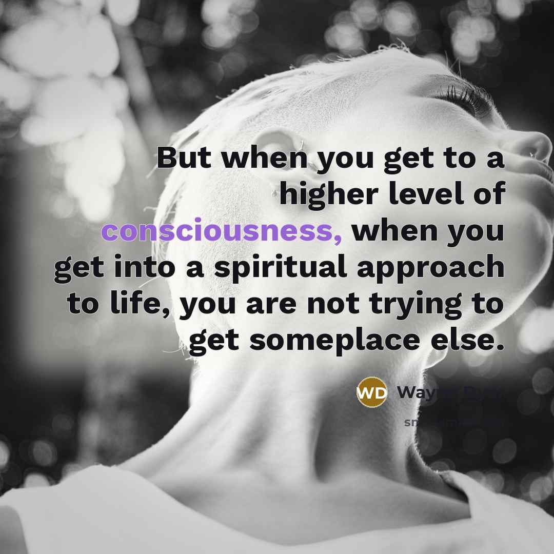 “But when you get to a higher level of consciousness,…” quote by Wayne Dyer