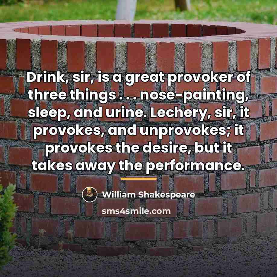 “Drink, sir, is a great provoker of three things .…” quote by William Shakespeare