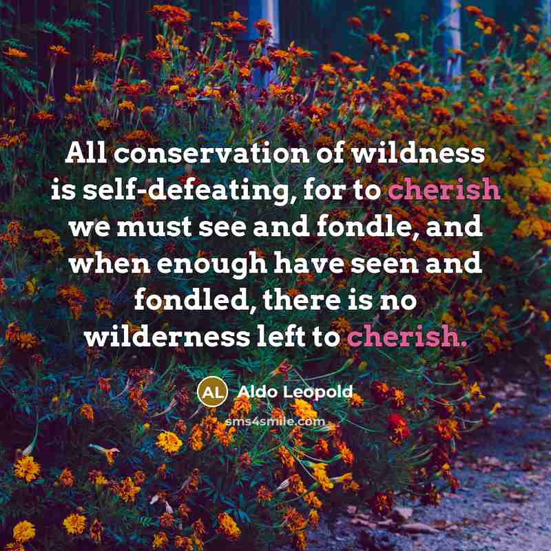 “All conservation of wildness is self-defeating, for to cherish we…” quote by Aldo Leopold
