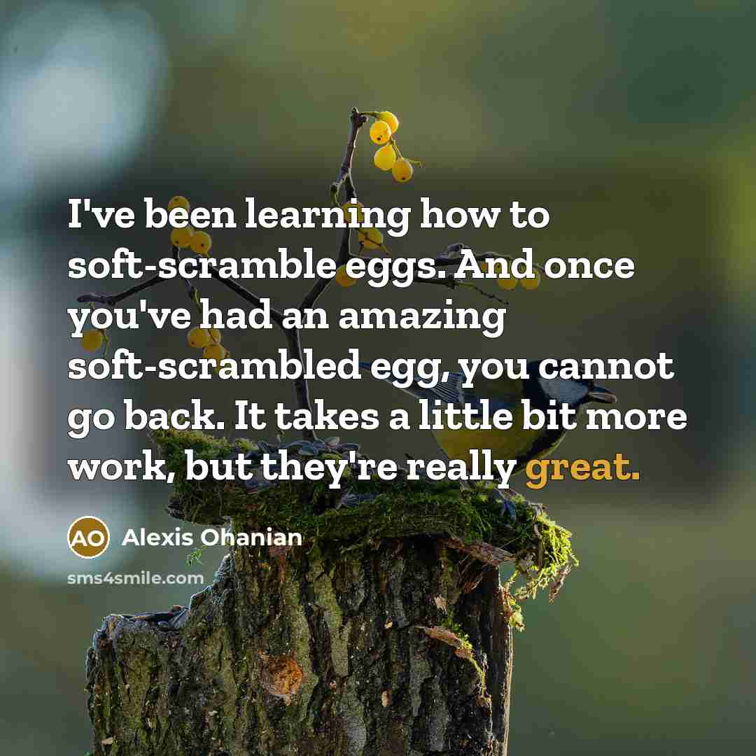 “I've been learning how to soft-scramble eggs. And once you've…” quote by Alexis Ohanian