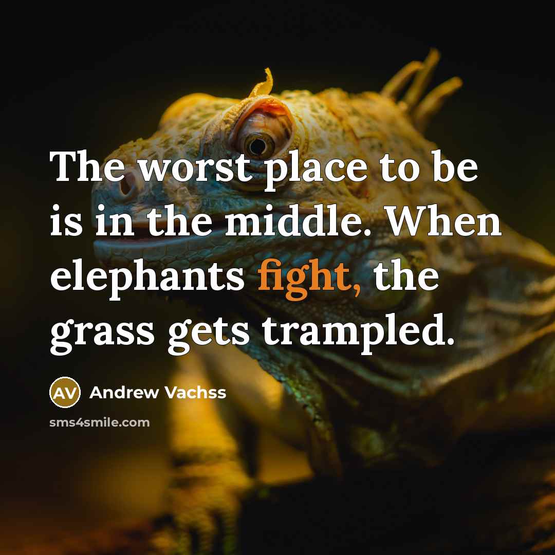 “The worst place to be is in the middle. When elephants fight, the grass gets trampled.” quote by Andrew Vachss