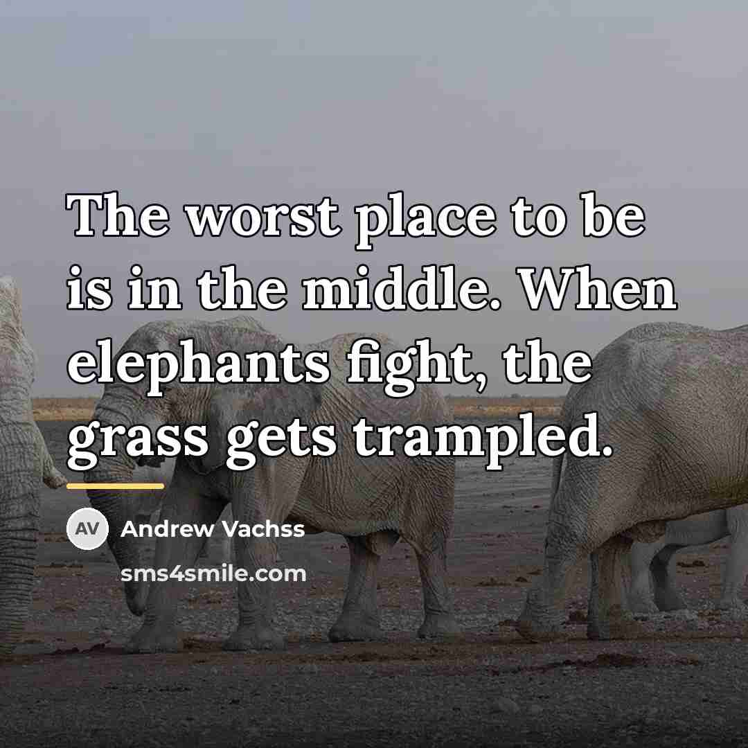 “The worst place to be is in the middle. When…” quote by Andrew Vachss
