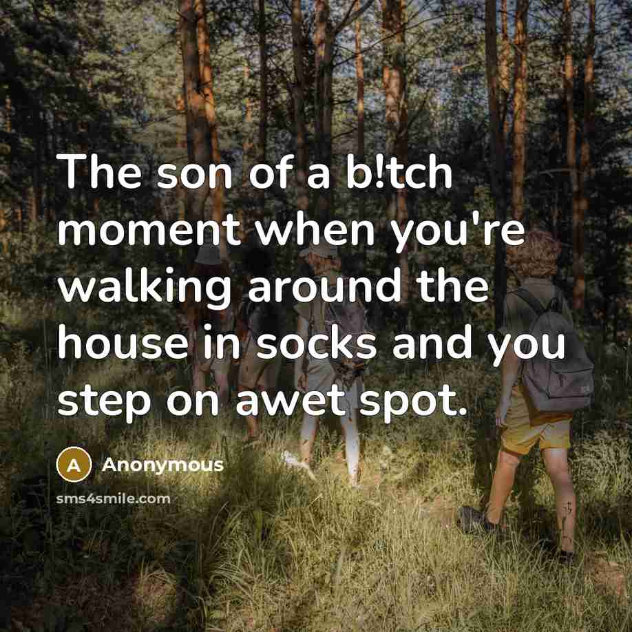 “The son of a b!tch moment when you're walking around…” quote by Anonymous