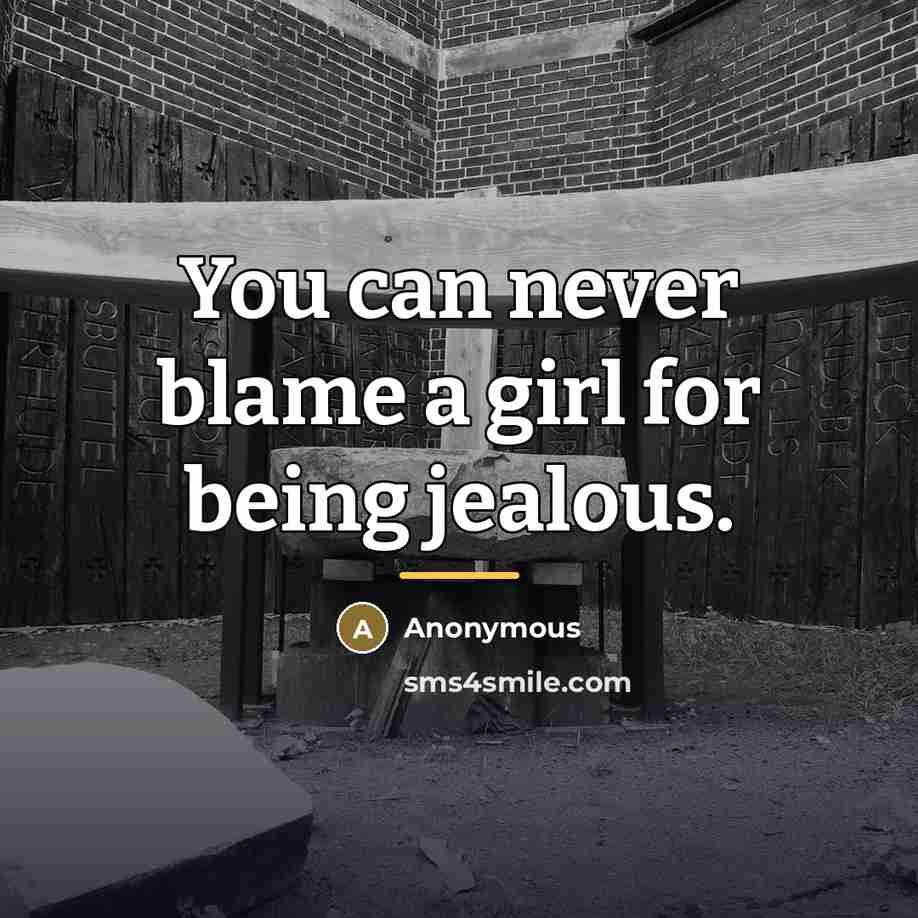 “You can never blame a girl for being jealous.…” quote by Anonymous