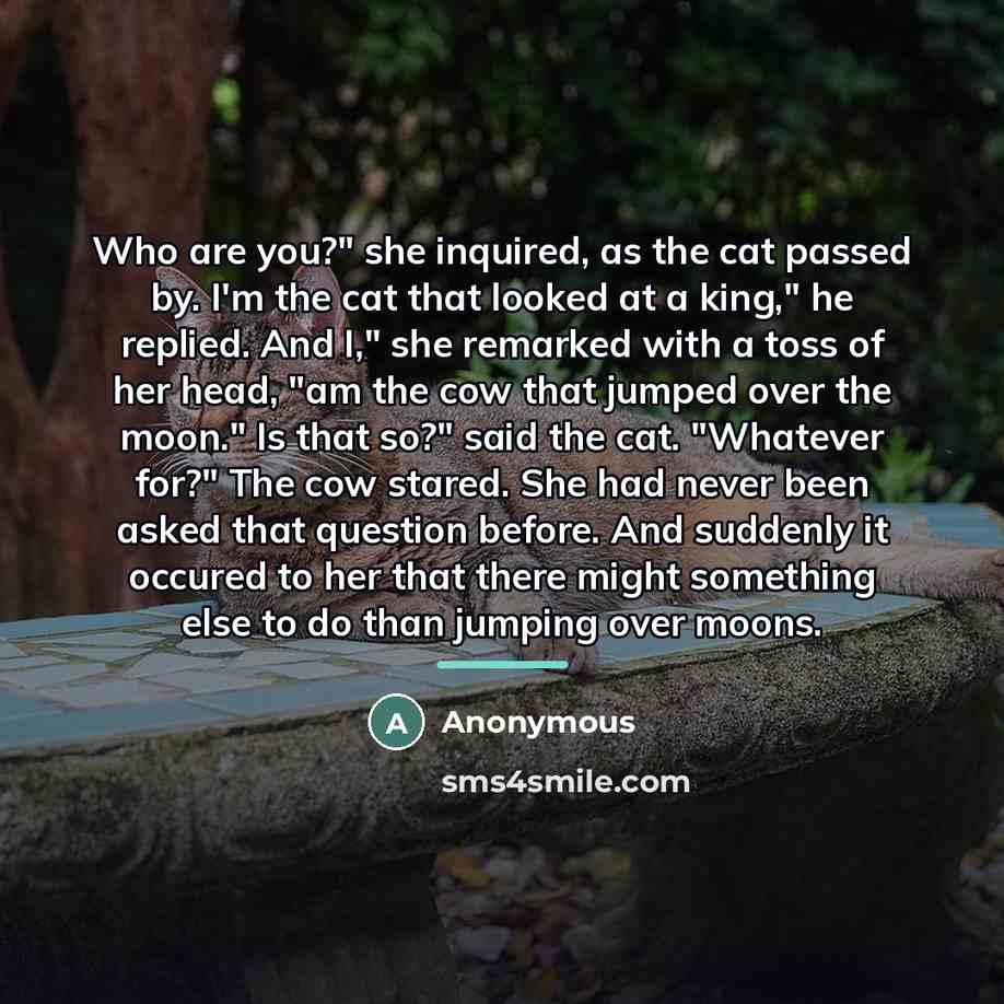 “Who are you?" she inquired, as the cat passed by.…” quote by Anonymous