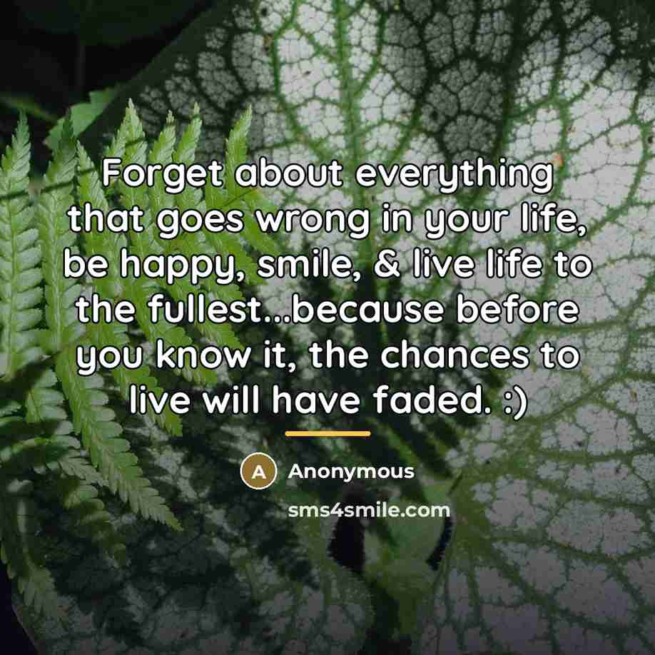 “Forget about everything that goes wrong in your life, be…” quote by Anonymous