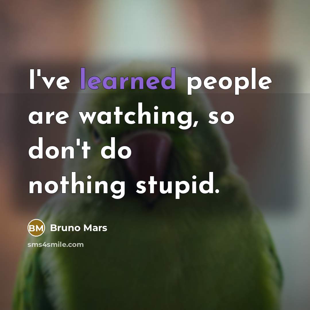 “I've learned people are watching, so don't do nothing stupid.…” quote by Bruno Mars