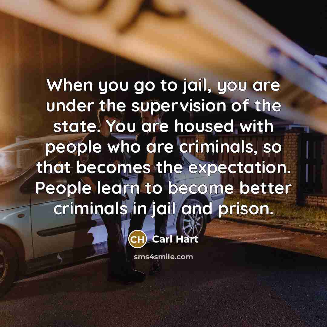 “When you go to jail, you are under the supervision…” quote by Carl Hart