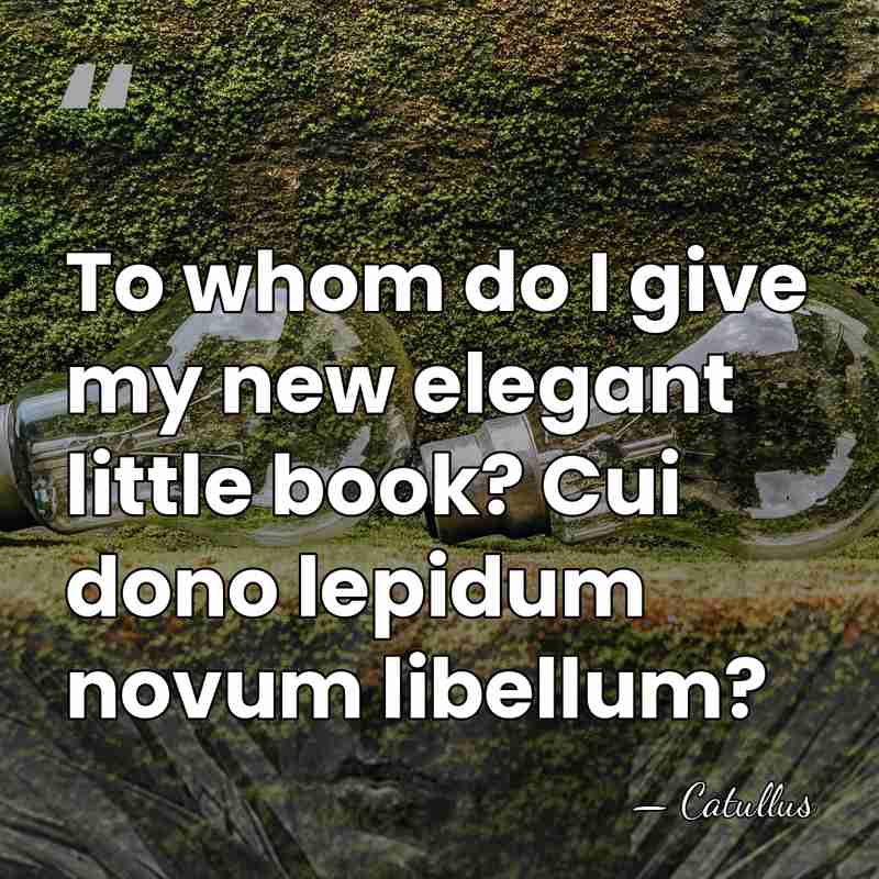 To whom do I give my new elegant little book? Cui dono&hellip; - Catullus