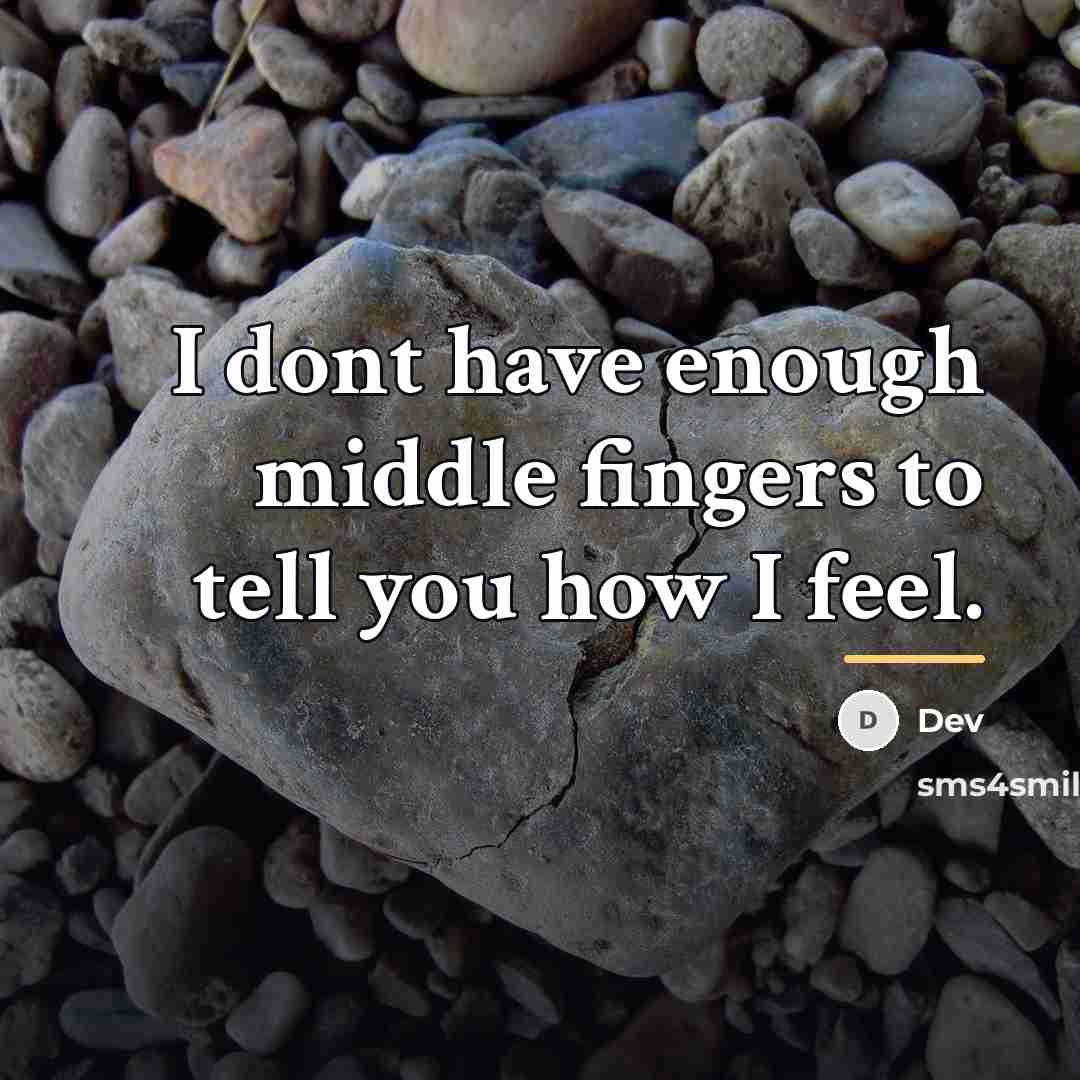 “I dont have enough middle fingers to tell you how…” quote by Dev