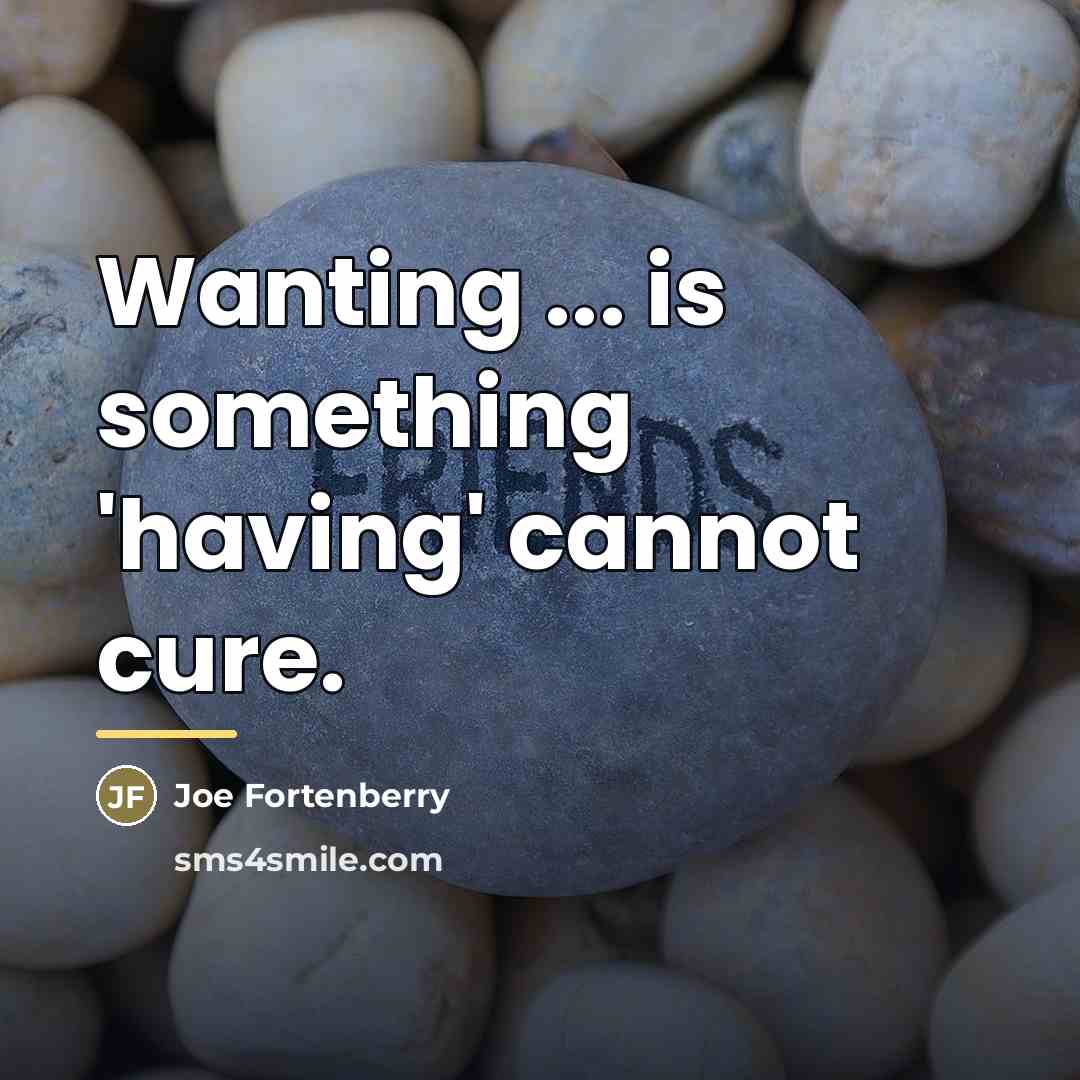 “Wanting ... is something 'having' cannot cure.…” quote by Joe Fortenberry