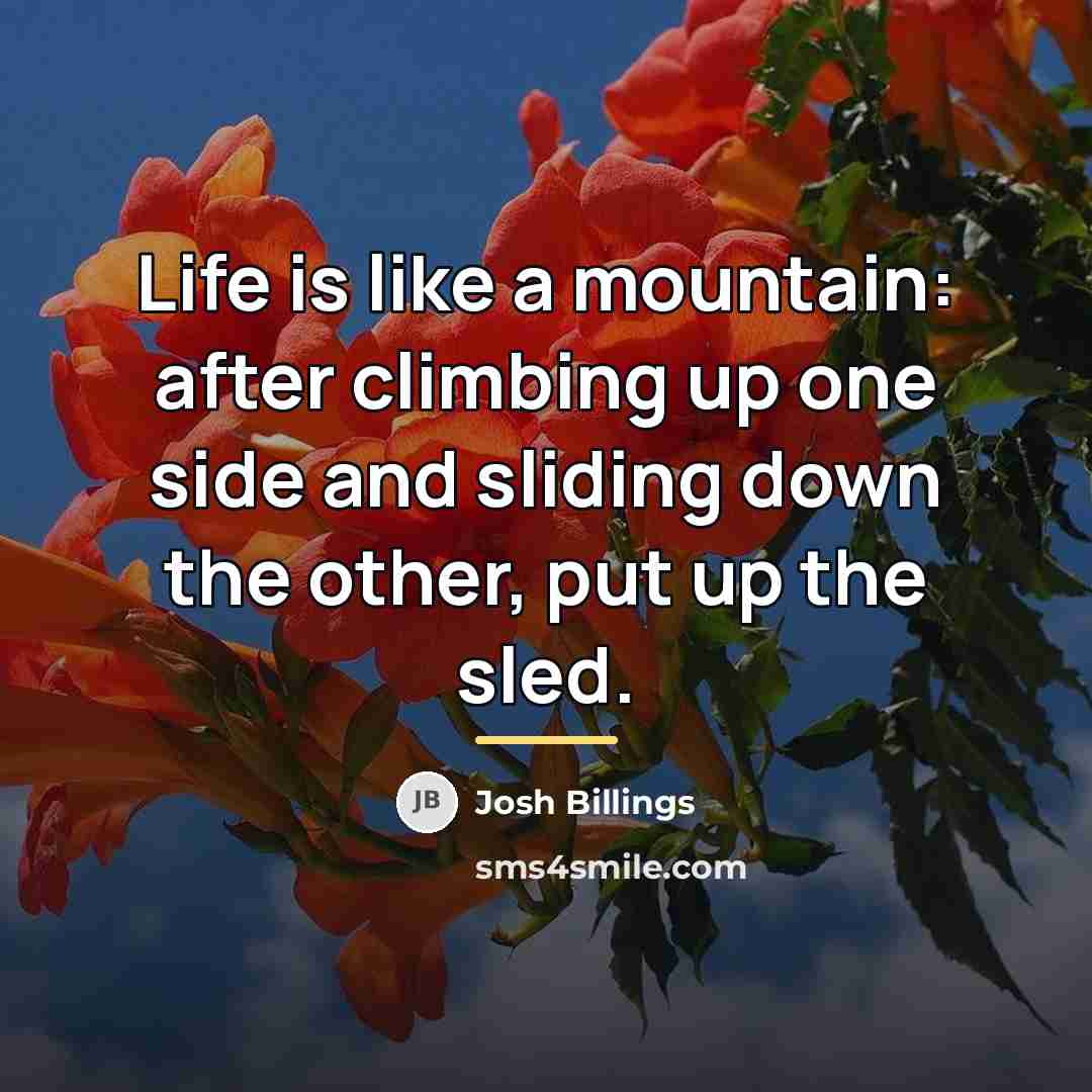 “Life is like a mountain: after climbing up one side…” quote by Josh Billings