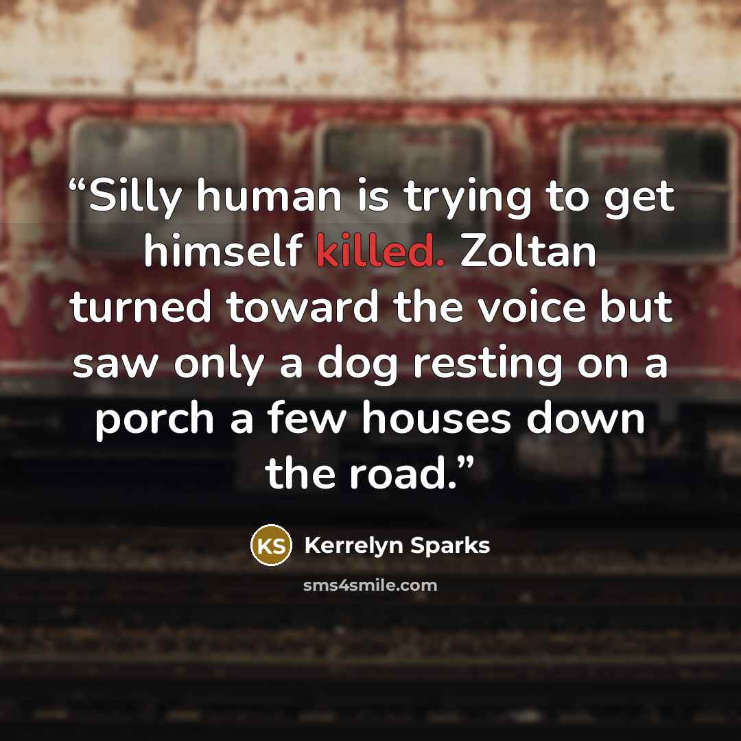 “Silly human is trying to get himself killed. Zoltan turned toward the voice but saw only a dog resting on a porch a few houses down the road.” quote by Kerrelyn Sparks