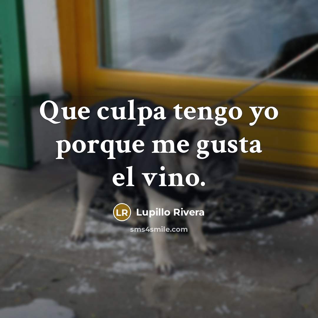 “Que culpa tengo yo porque me gusta el vino.…” quote by Lupillo Rivera