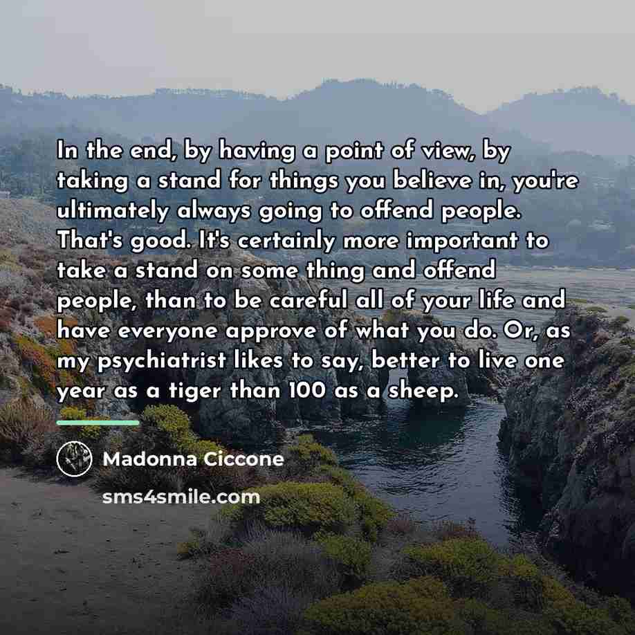 “In the end, by having a point of view, by…” quote by Madonna Ciccone