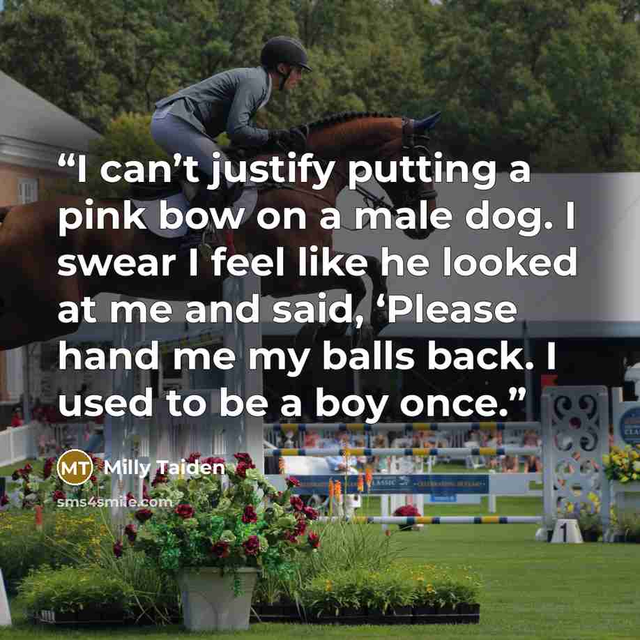 “I can’t justify putting a pink bow on a male dog. I swear I feel like he looked at me and said, ‘Please hand me my balls back. I used to be a boy once.” quote by Milly Taiden
