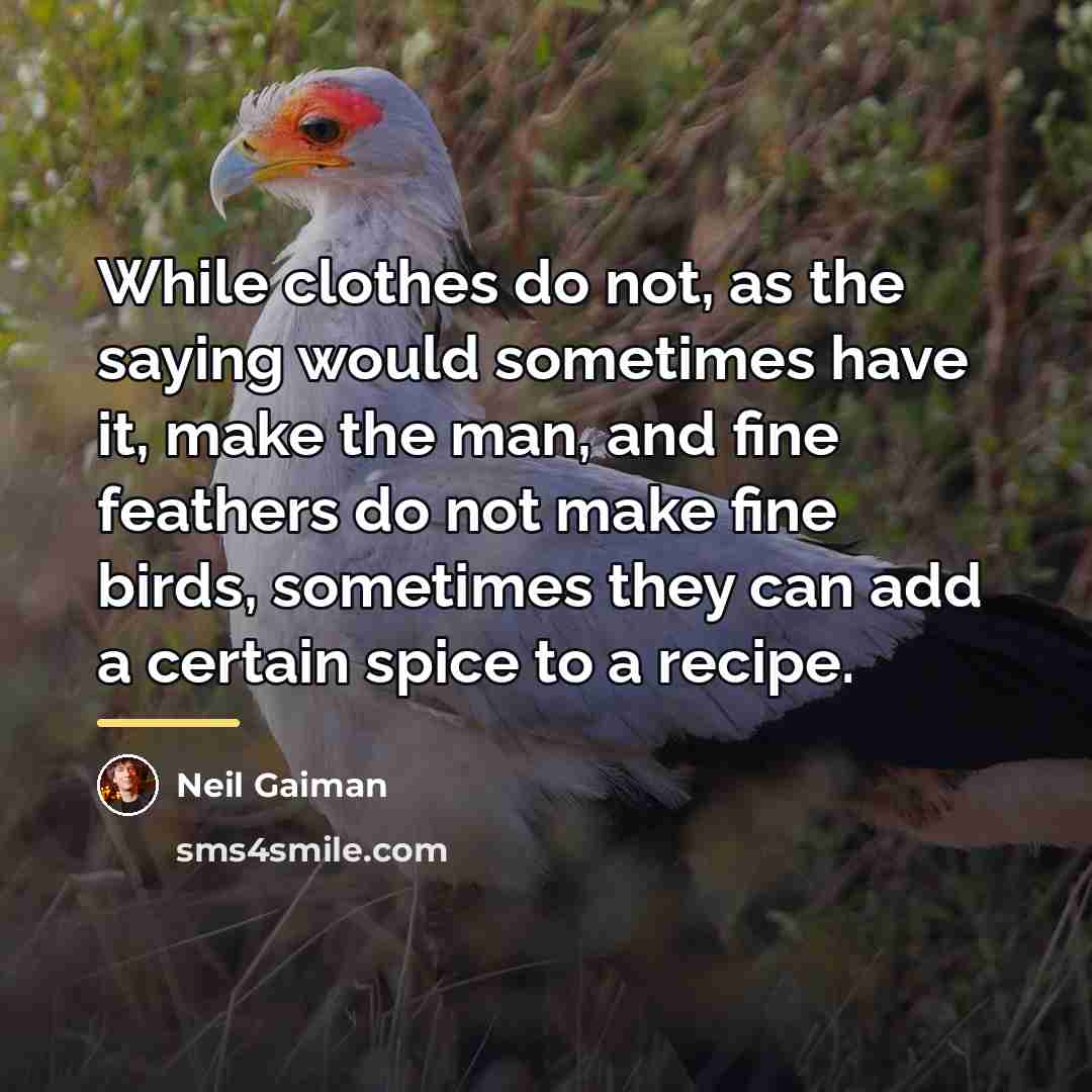 “While clothes do not, as the saying would sometimes have…” quote by Neil Gaiman