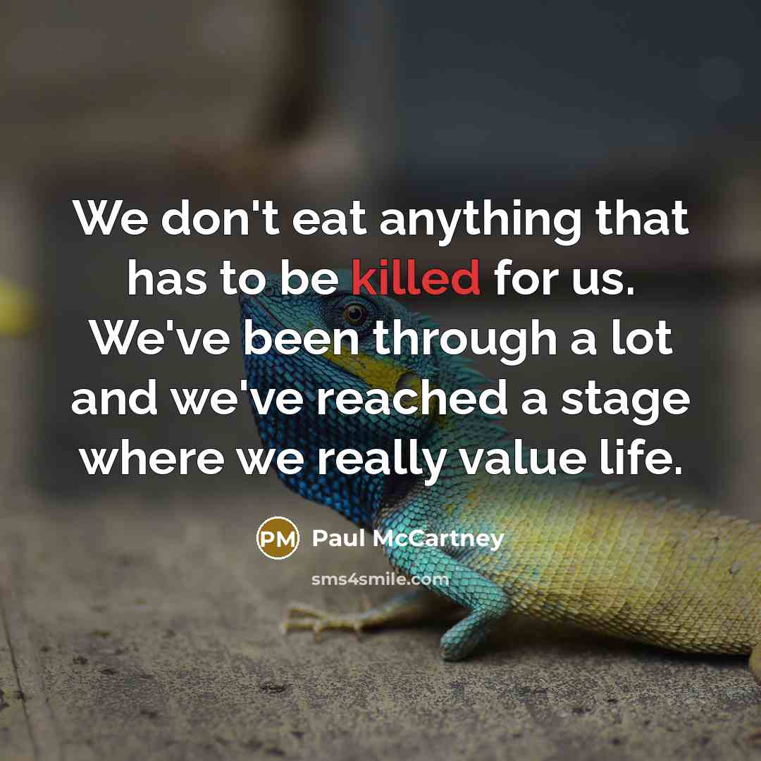“We don't eat anything that has to be killed for…” quote by Paul McCartney