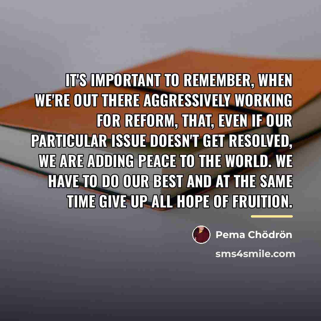 “It's important to remember, when we're out there aggressively working…” quote by Pema Chodron