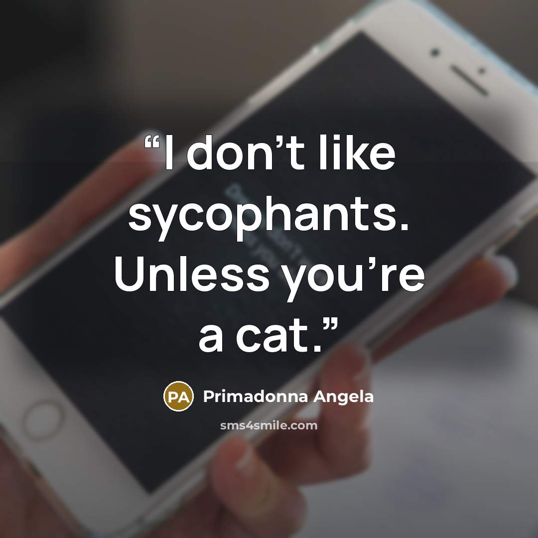 “I don't like sycophants. Unless you're a cat.” quote by Primadonna Angela