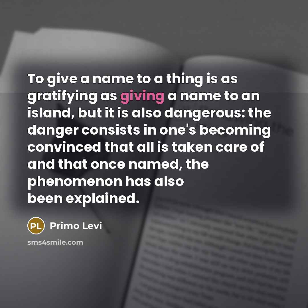 “To give a name to a thing is as gratifying…” quote by Primo Levi
