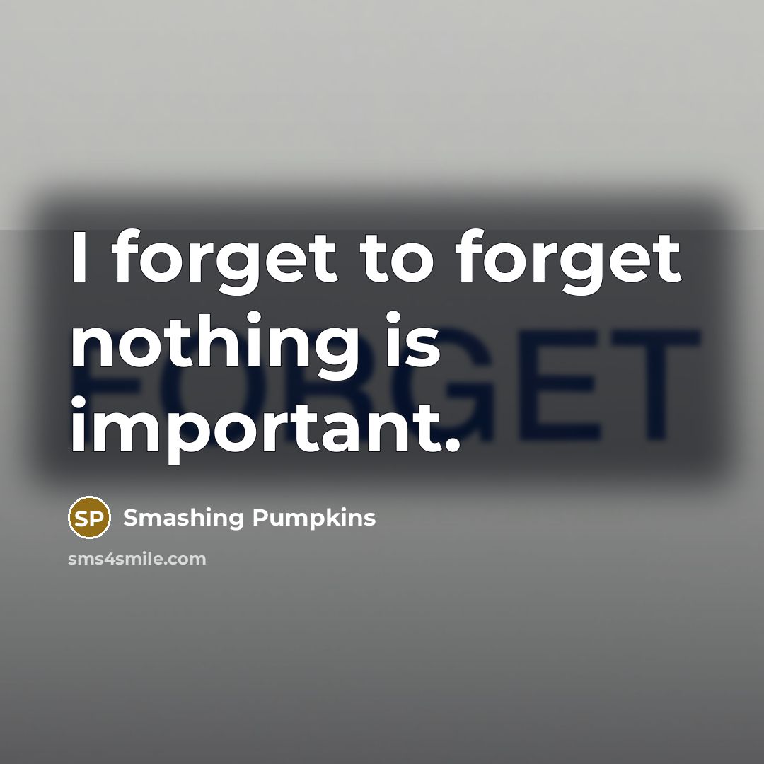 “I forget to forget nothing is important.…” quote by Smashing Pumpkins