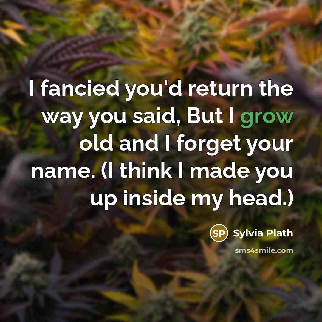 “I fancied you'd return the way you said, But I…” quote by Sylvia Plath