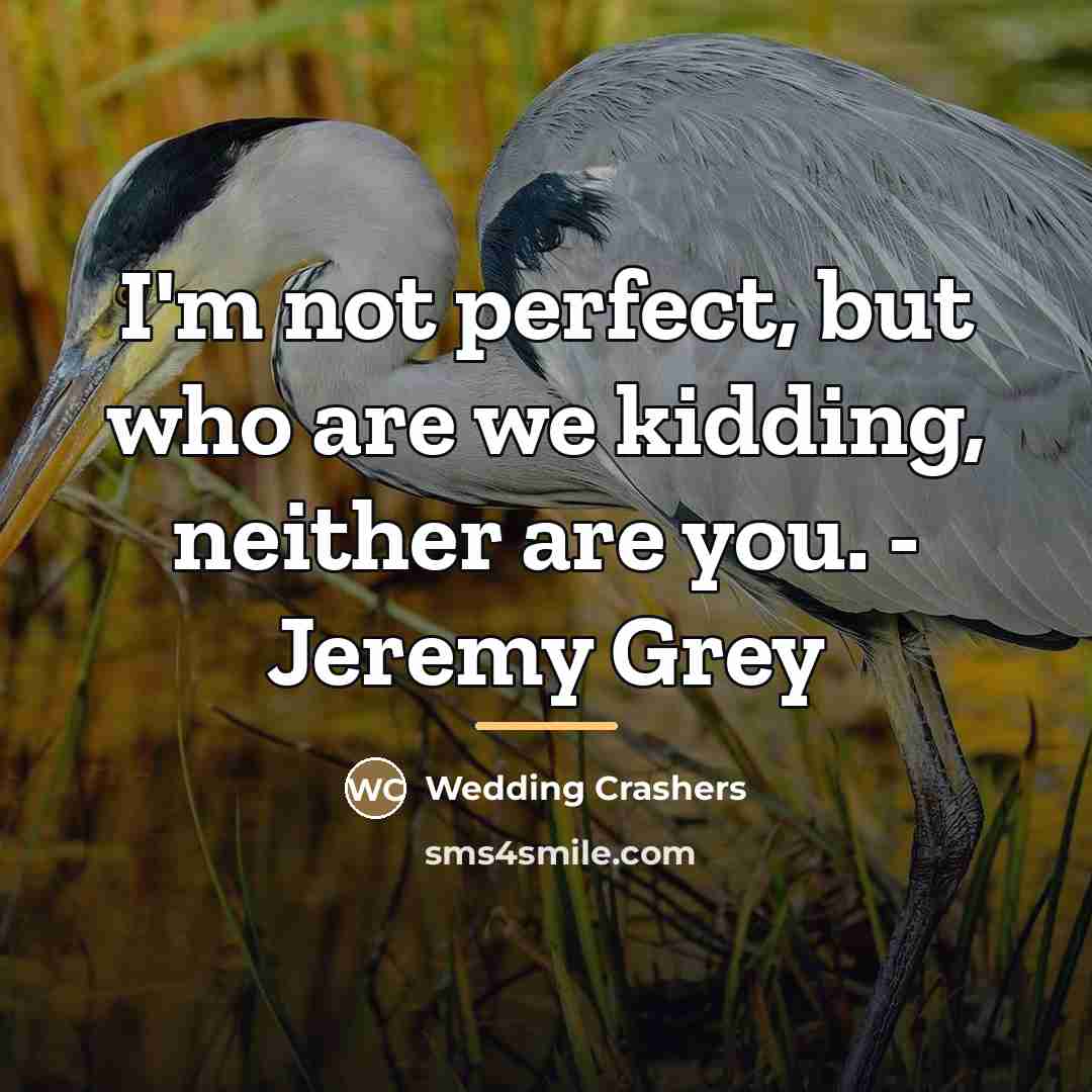 “I'm not perfect, but who are we kidding, neither are…” quote by Wedding Crashers
