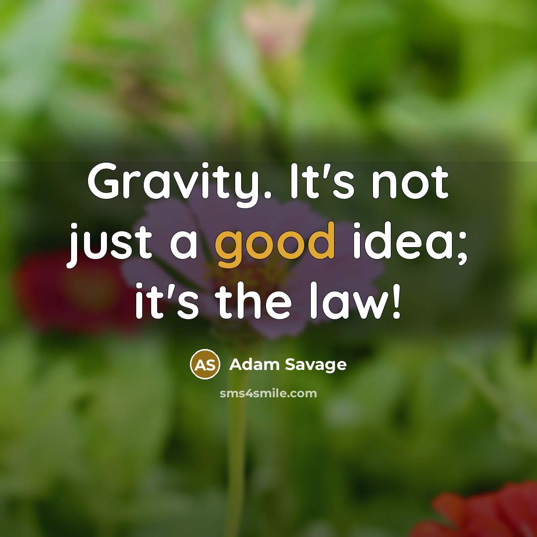 “Gravity. It's not just a good idea; it's the law!” quote by Adam Savage