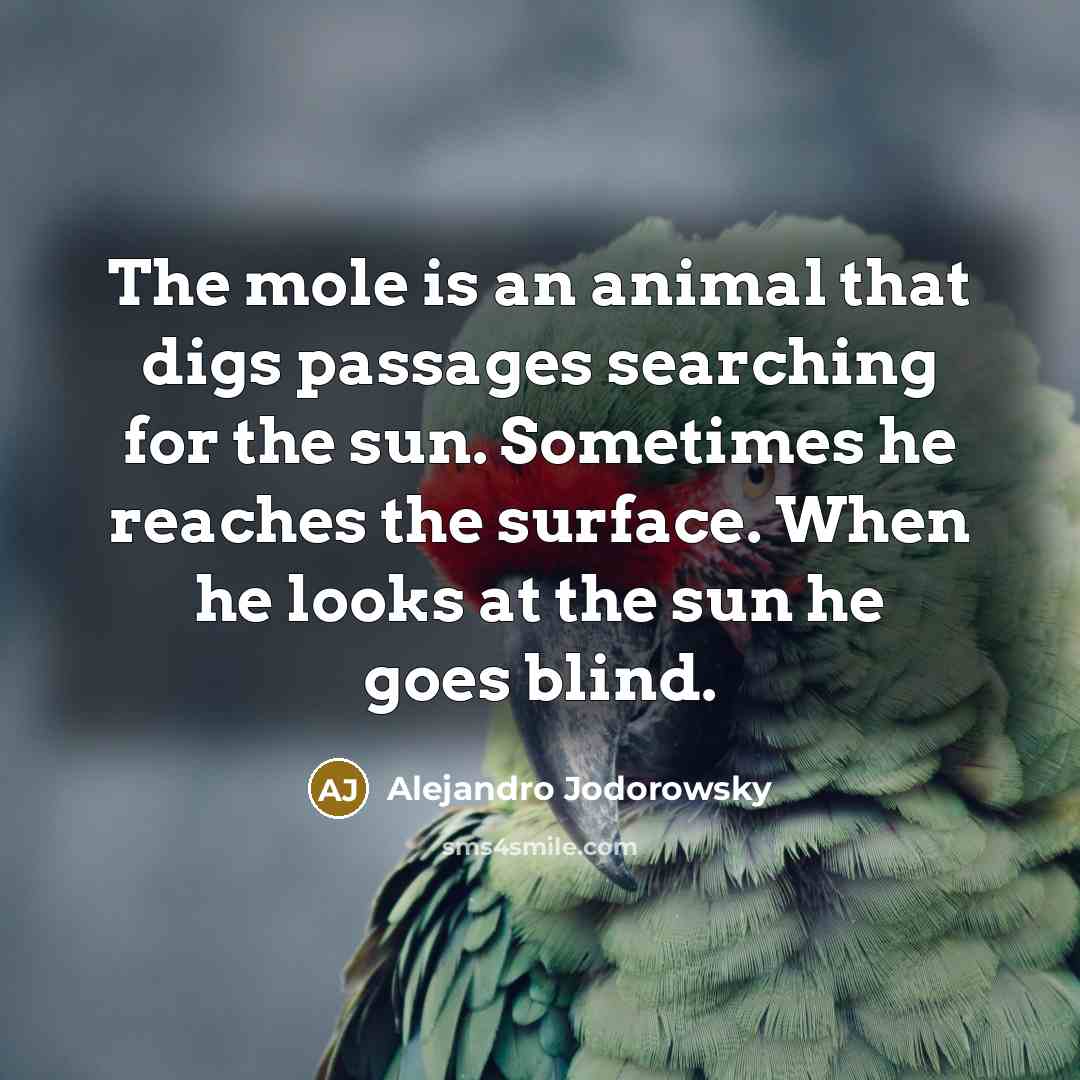 “The mole is an animal that digs passages searching for…” quote by Alejandro Jodorowsky