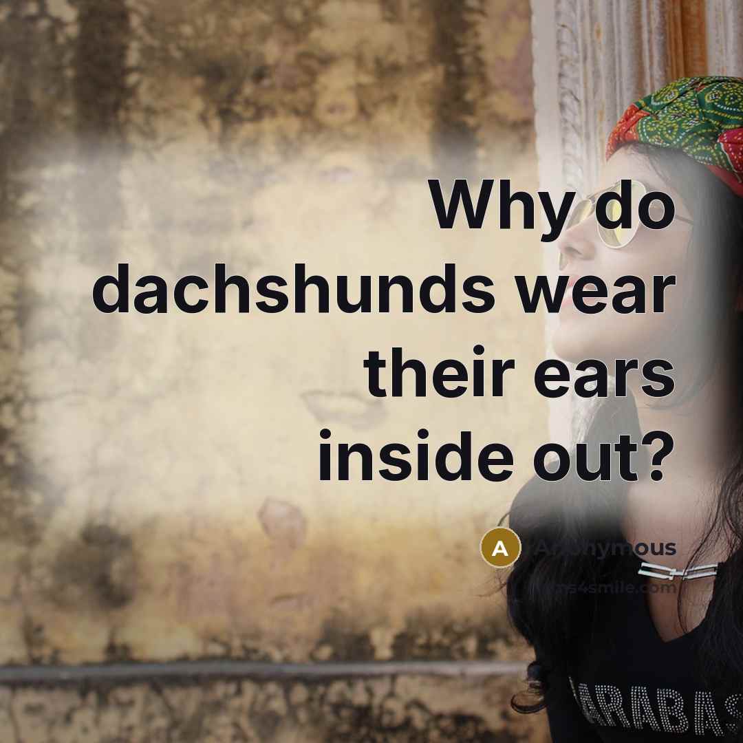 “Why do dachshunds wear their ears inside out?” quote by Anonymous