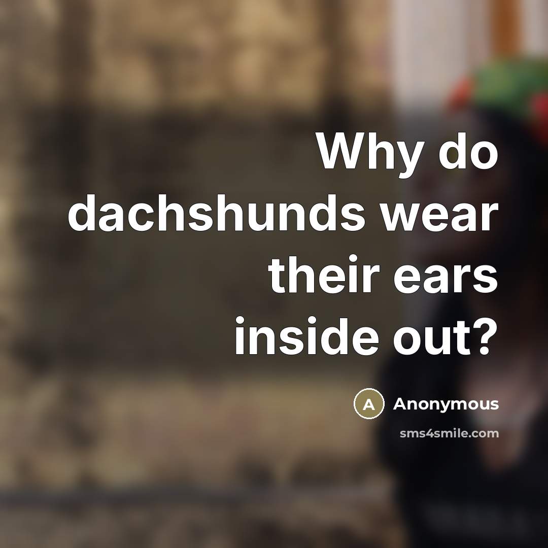 “Why do dachshunds wear their ears inside out?…” quote by Anonymous