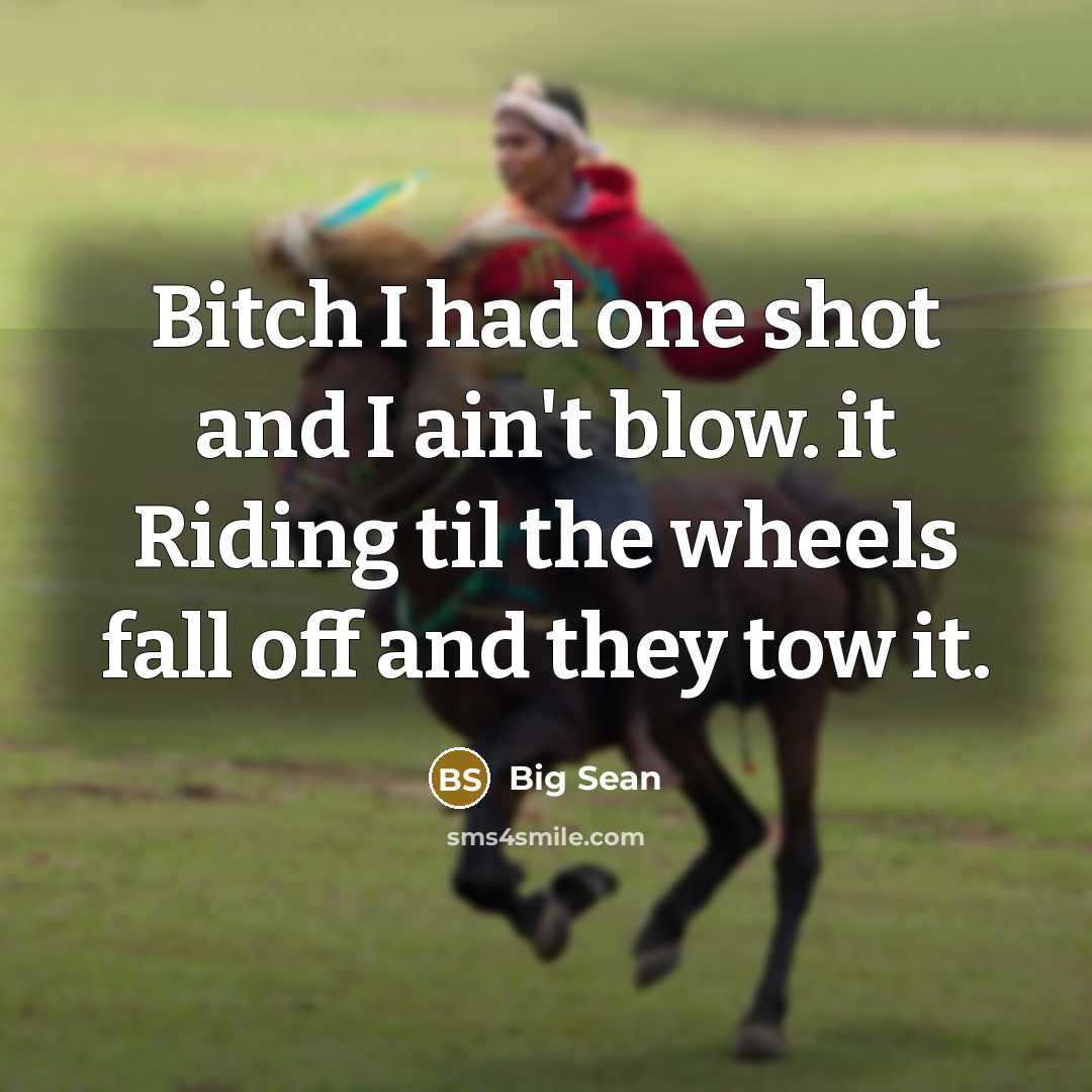 “Bitch I had one shot and I ain't blow. it…” quote by Big Sean