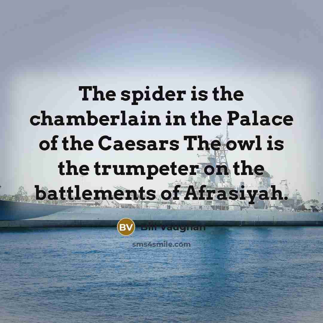 “The spider is the chamberlain in the Palace of the…” quote by Bill Vaughan