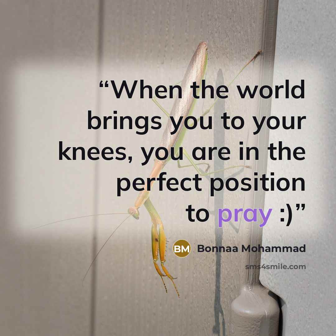 “When the world brings you to your knees, you are in the perfect position to pray :)” quote by Bonnaa Mohammad