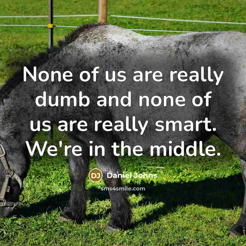 “None of us are really dumb and none of us…” quote by Daniel Johns
