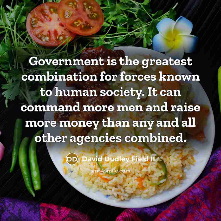 “Government is the greatest combination for forces known to human…” quote by David Dudley Field II