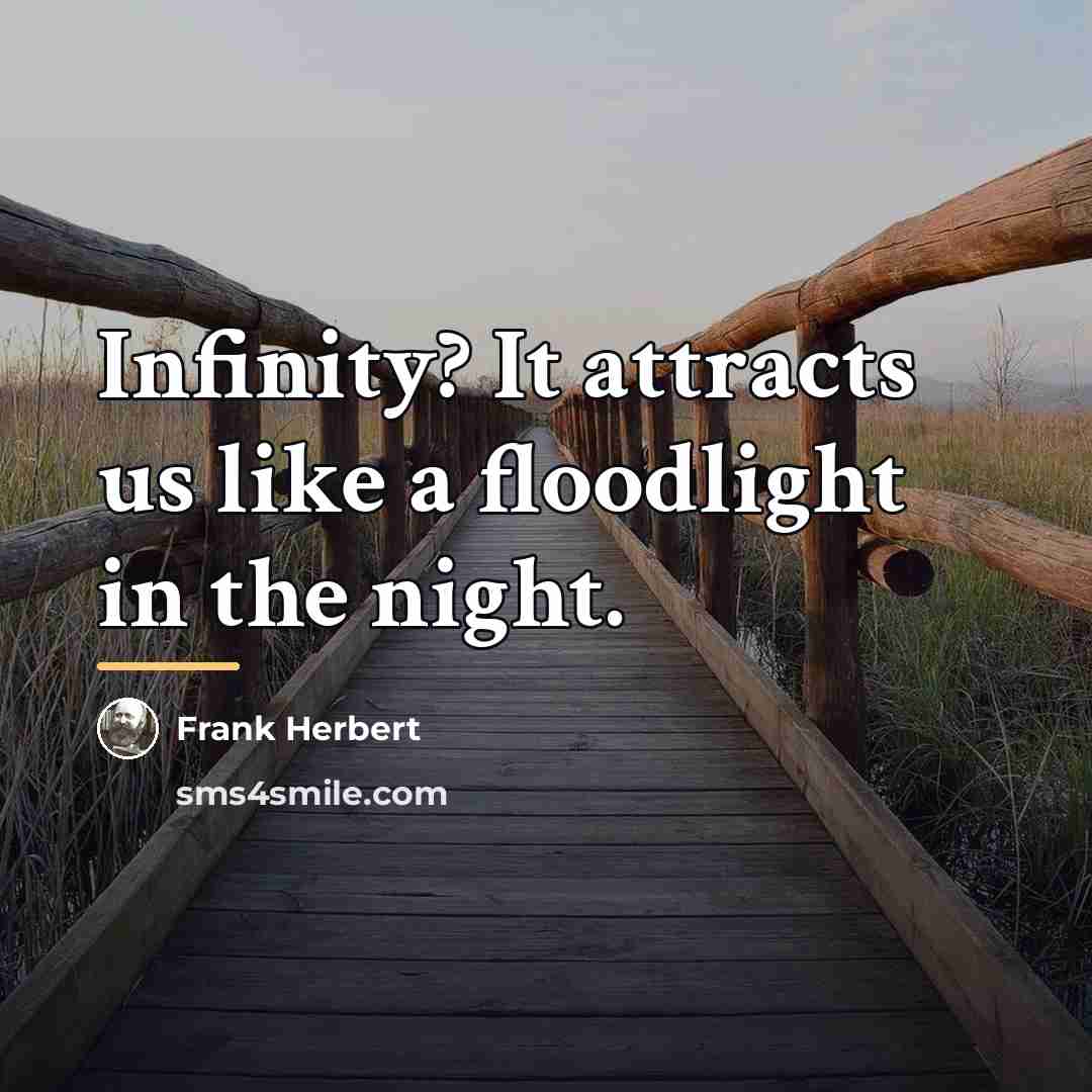 “Infinity? It attracts us like a floodlight in the night.…” quote by Frank Herbert