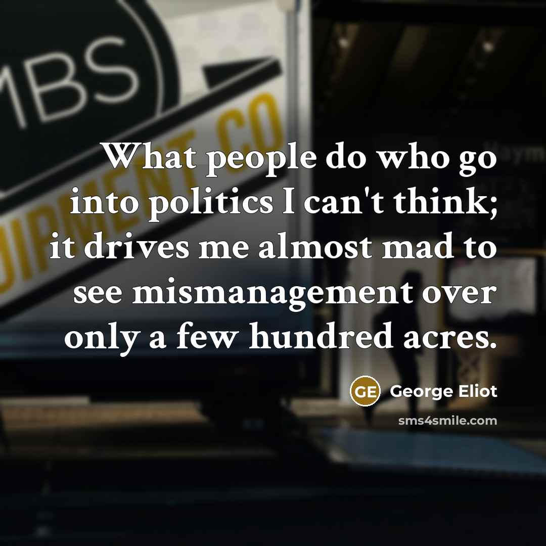 “What people do who go into politics I can't think;…” quote by George Eliot